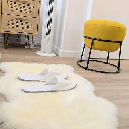 Carre D'or Centre Romanite Lejlighed *